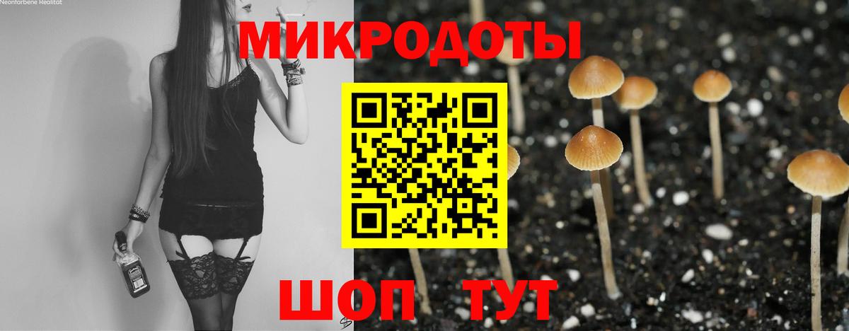 Галлюциногенные грибы Cubensis  Вход с VPN  Выкса 